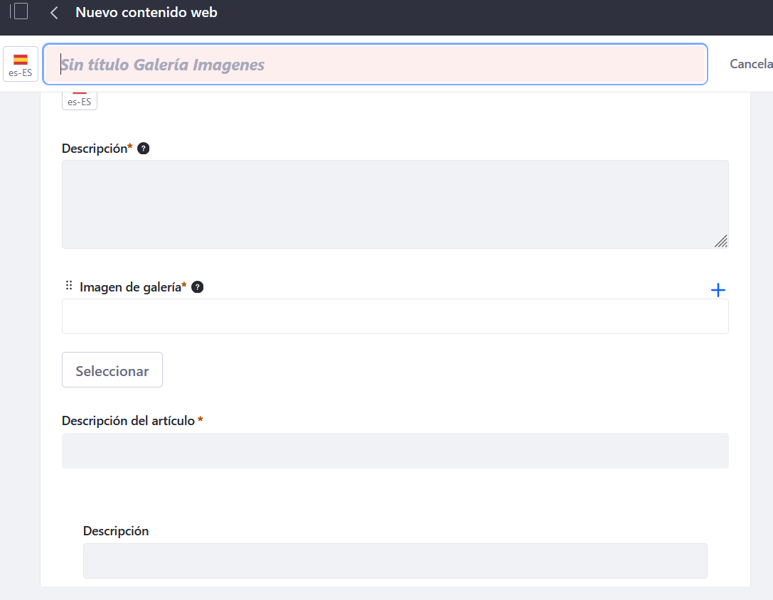 Pantallazo de los campos del nuevo contenido que se va a crear